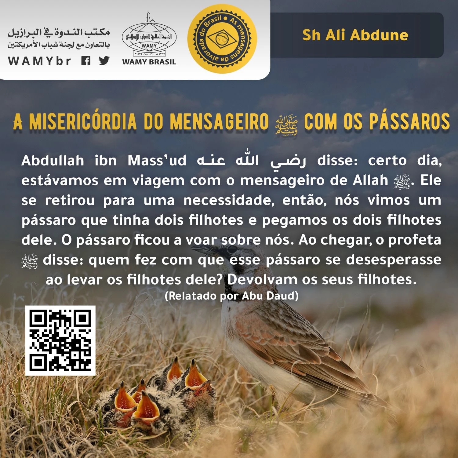 A misericórdia do mensageiro ﷺ com os pássaros