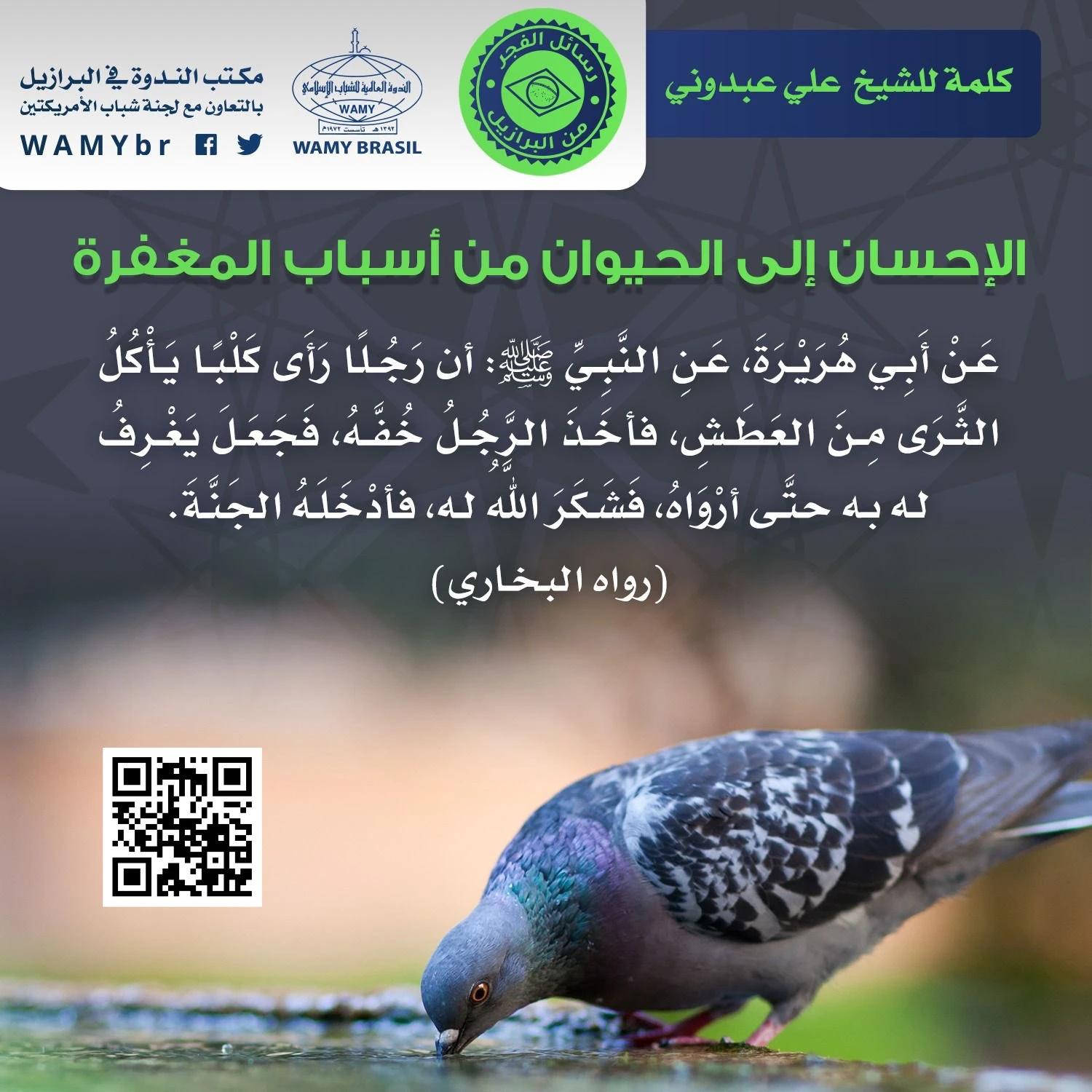 الإحسان إلى الحيوان من أسباب المغفرة