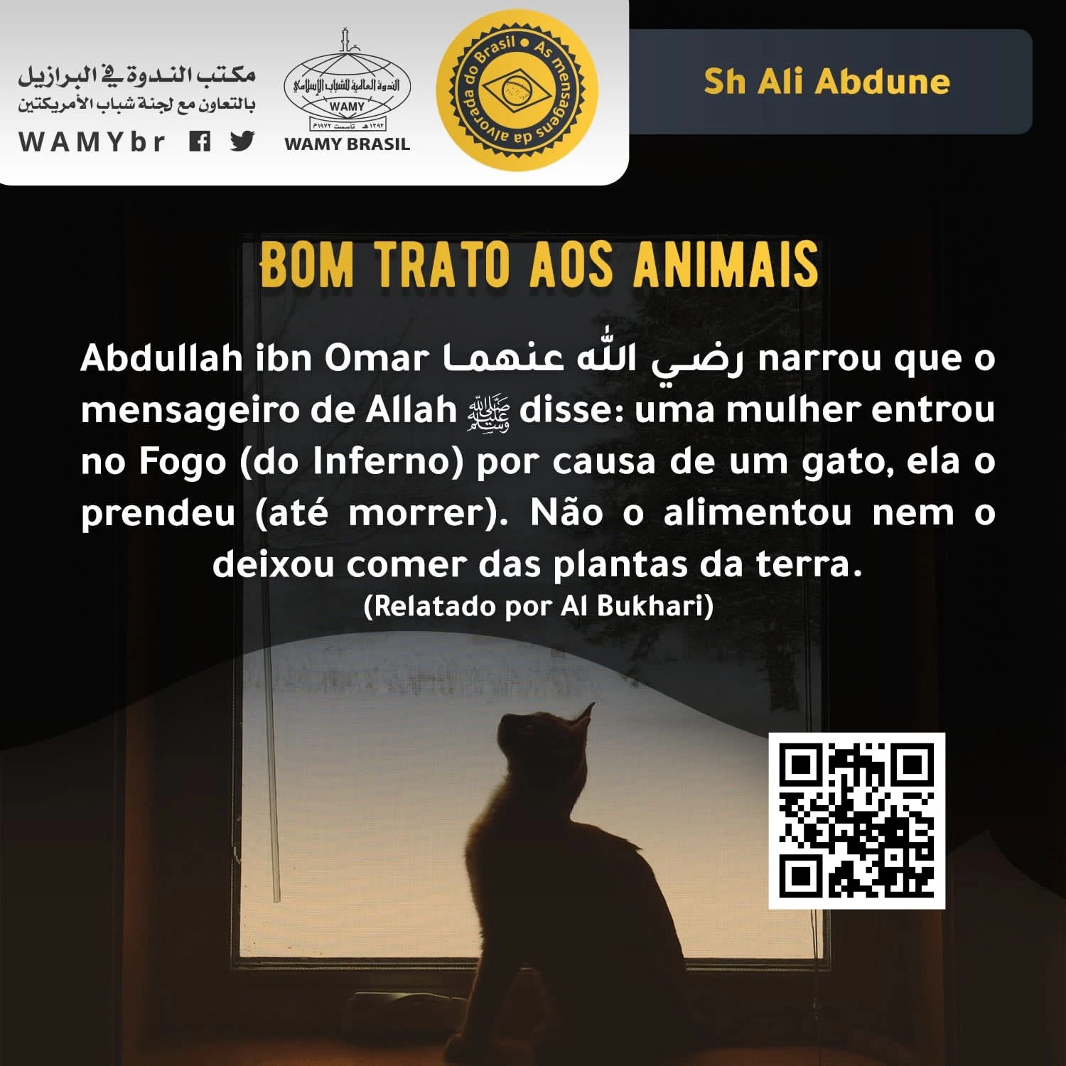 Bom trato aos animais