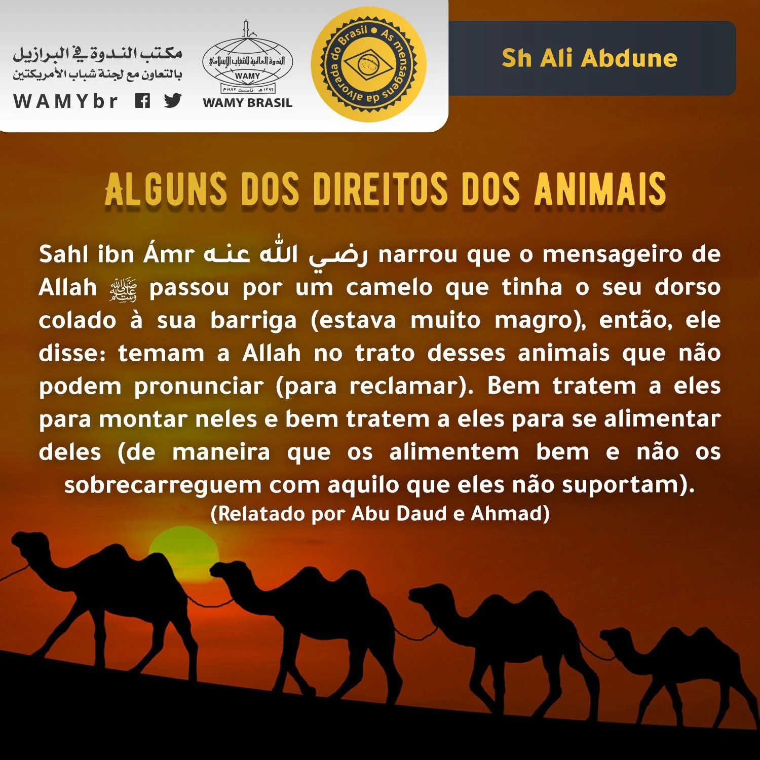 Alguns dos direitos dos animais