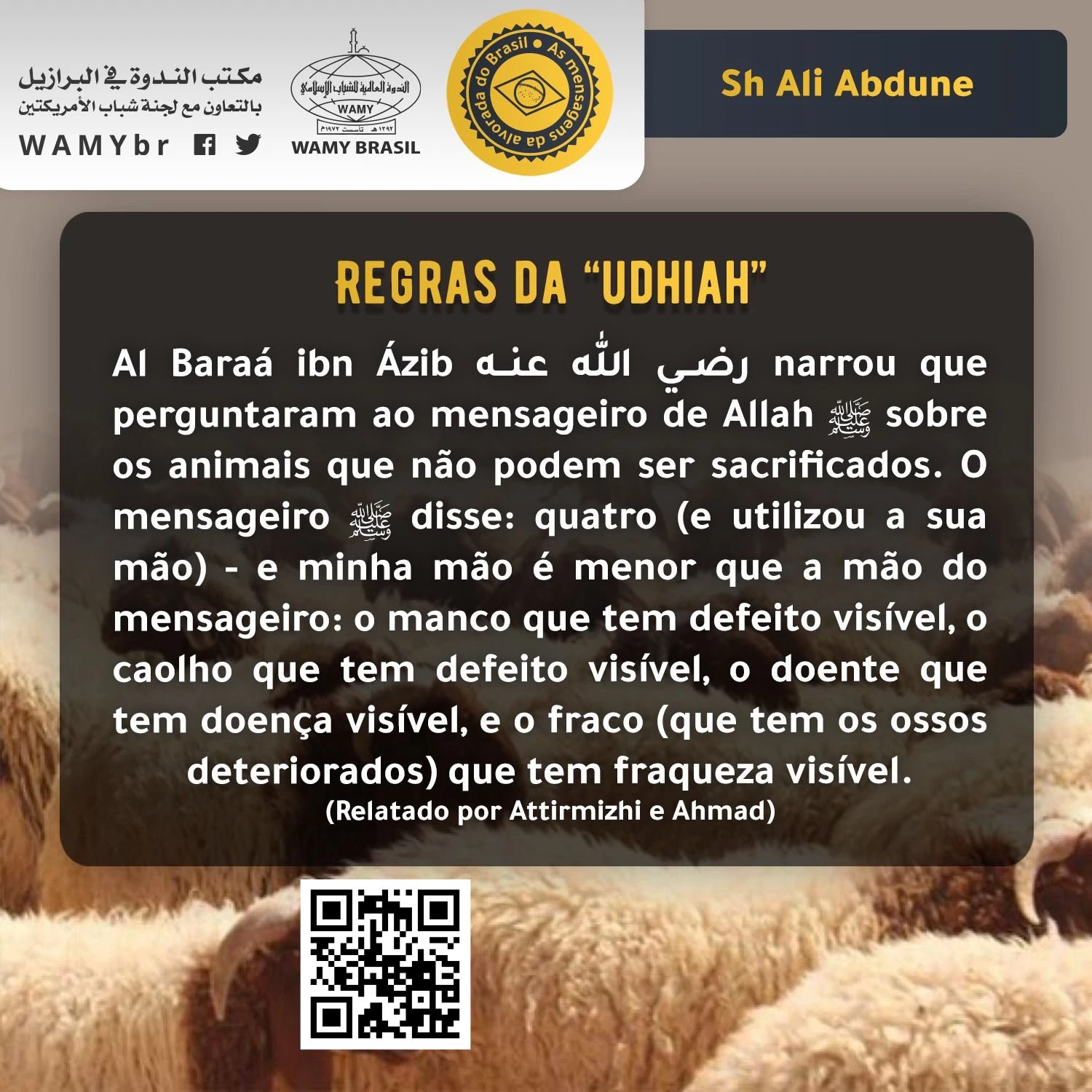 Regras da “udhiah”