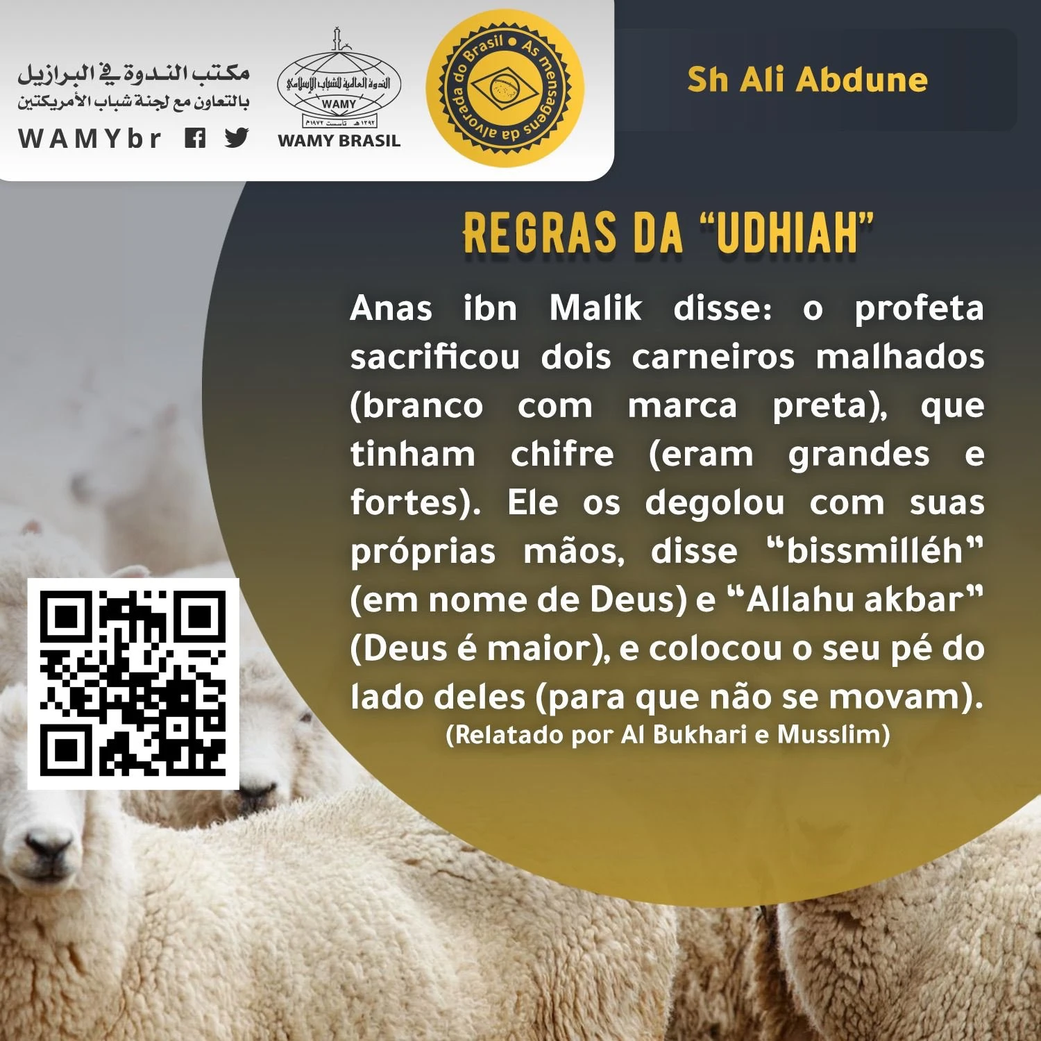 Regras da “udhiah”