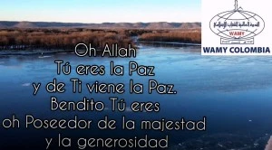 الأذكار بعد الصلاة المفروضة