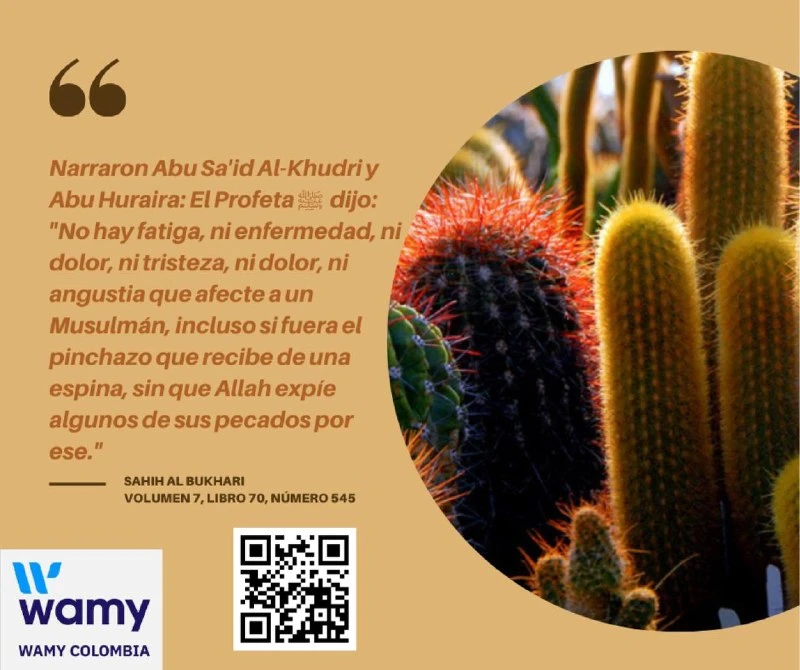 SAHIH AL BUKHARI VOLUMEN 7 , LIBRO 70 , NÚMERO 545