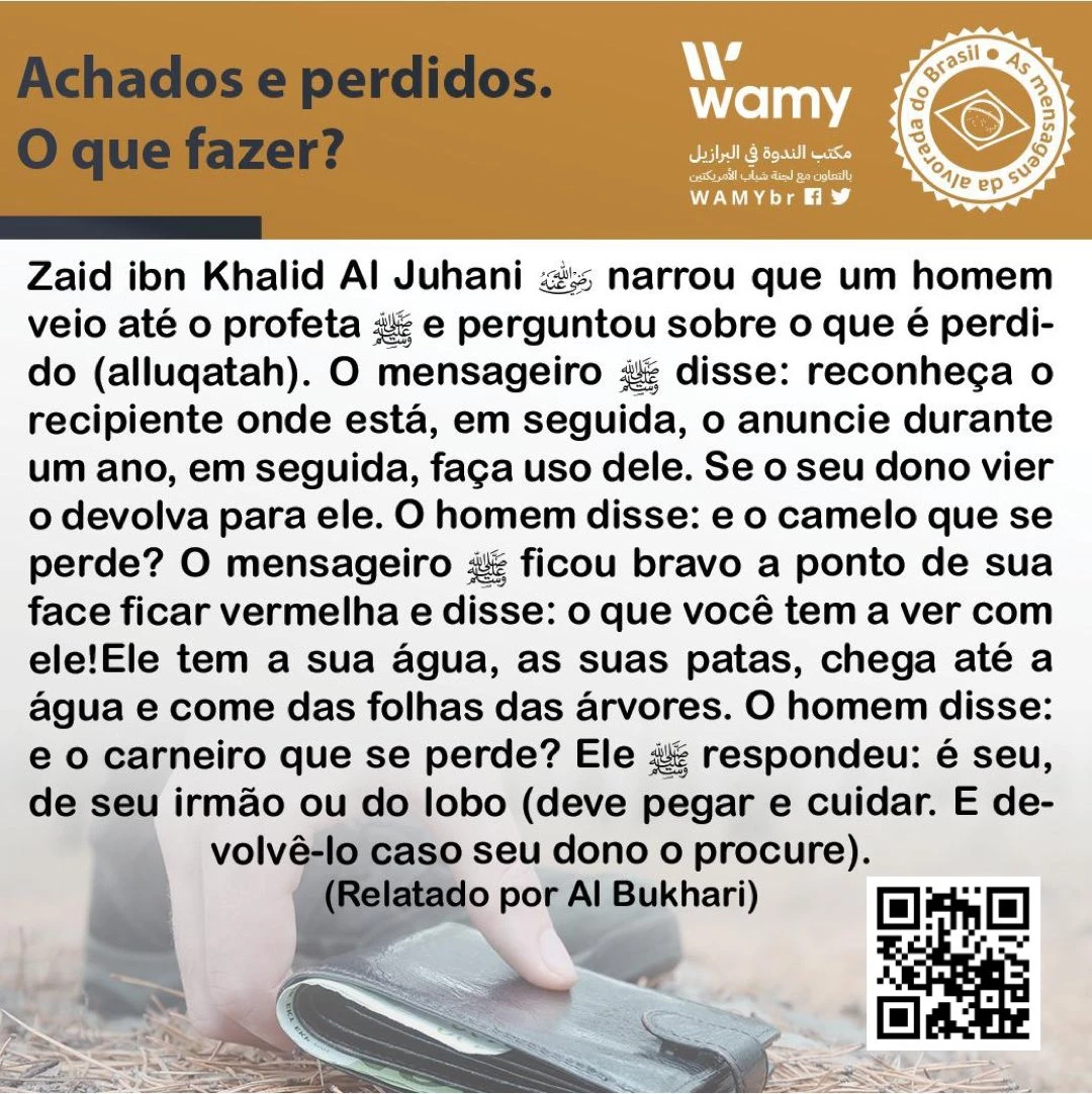 Achados e perdidos. O que fazer?