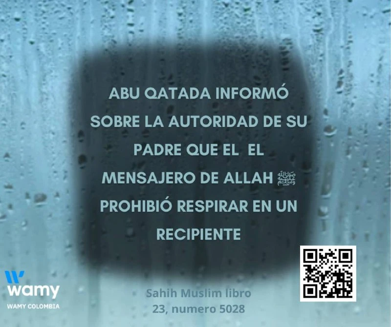 SAHIH MUSLIM LIBRO 23 NUMERO 5028