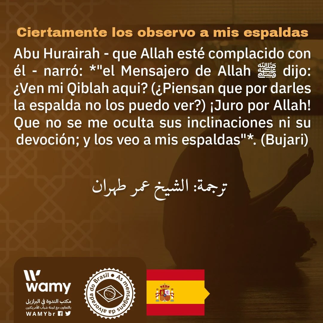 Ciertamente los observo a mis espaldas