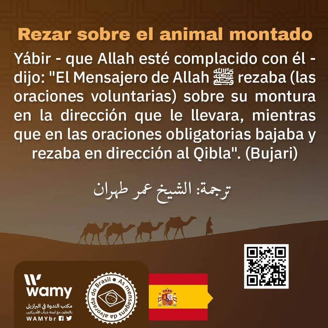 Rezar sobre el animal montado