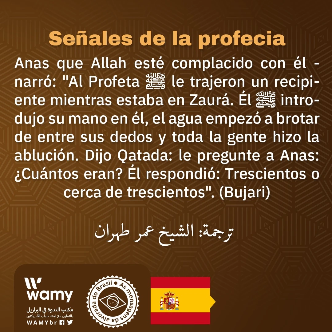 Señales de la profecia