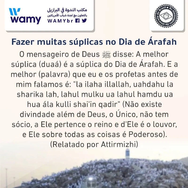 Fazer muitas súplicas no Dia de Árafah..