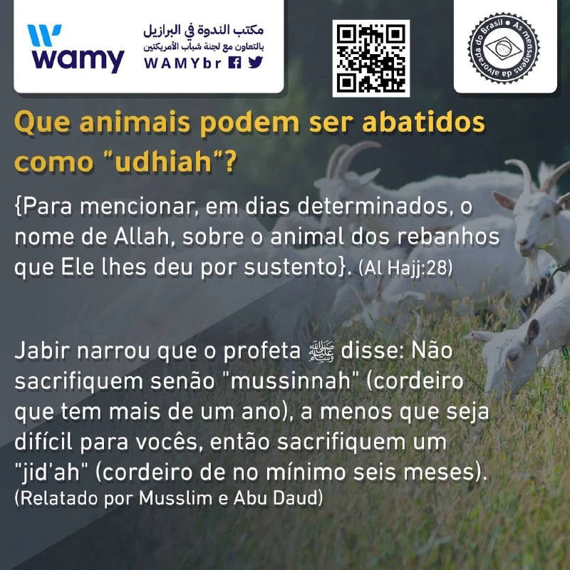 Que animais podem ser abatidos como "udhiah"?