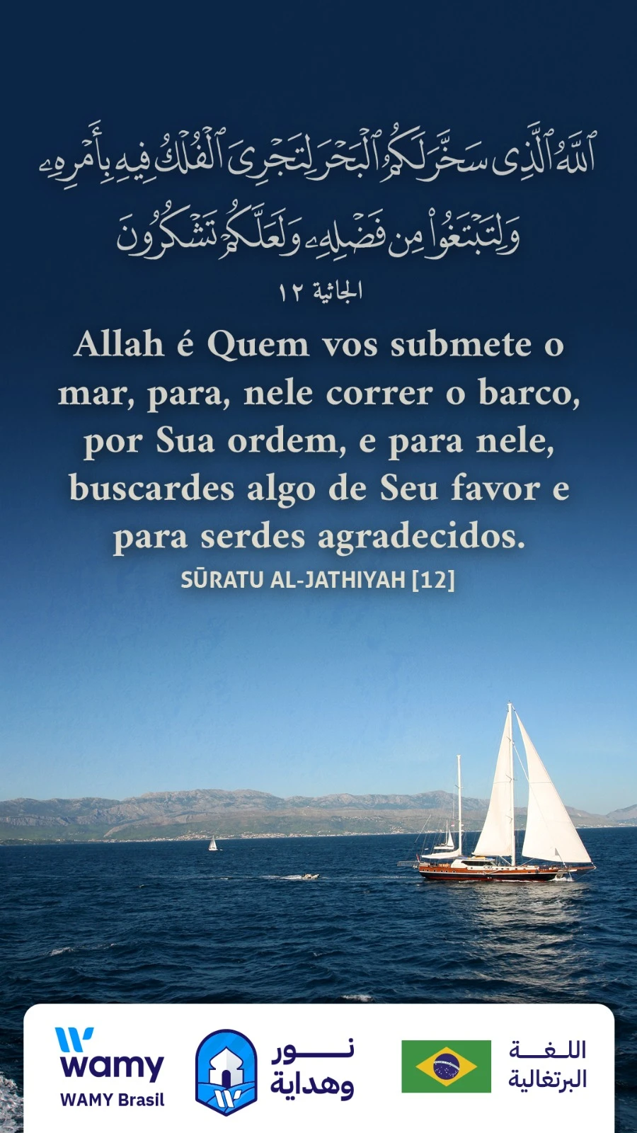 الجاثية ١٢