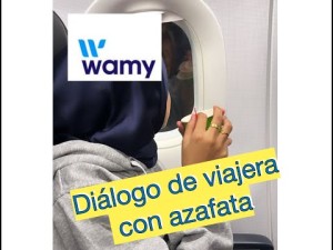 18.- Dialogo entre viajera y azafata - comida