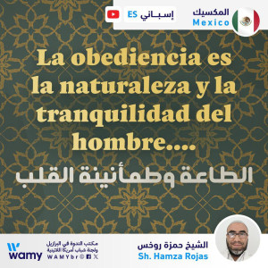 الطاعة وطمأنينة القلب