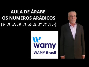 OS NUMEROS ARÁBICOS DE 0 - 100