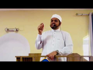 A virtude da noite do decreto